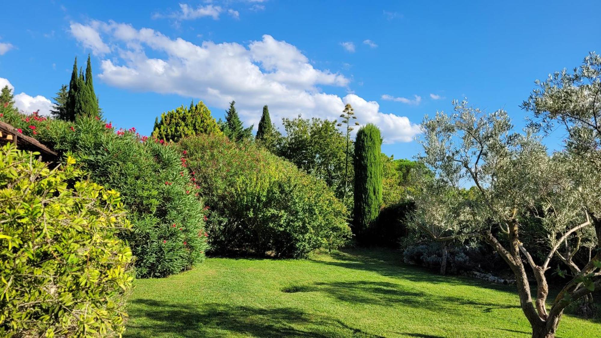 Bed and Breakfast Mas Des Marguerites Maussane-les-Alpilles Zewnętrze zdjęcie